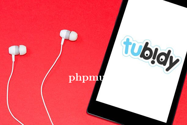 Strategi Cerdas Mencari Lagu Viral TikTok di Tubidy